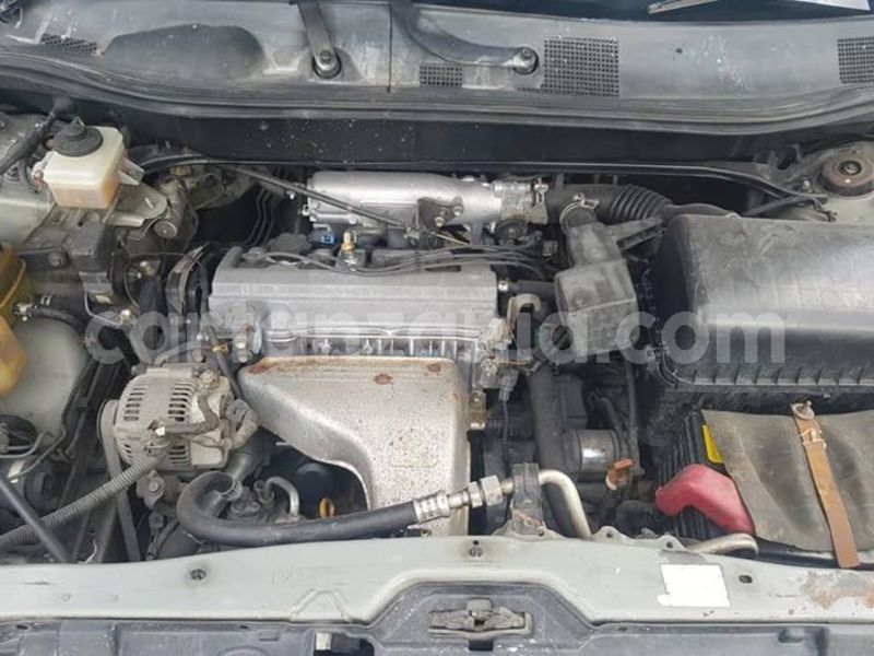 Big with watermark 45812745 160463814910964 2726619009582628864 n