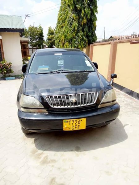 Big with watermark 45705398 160386411585371 2256342832522461184 n