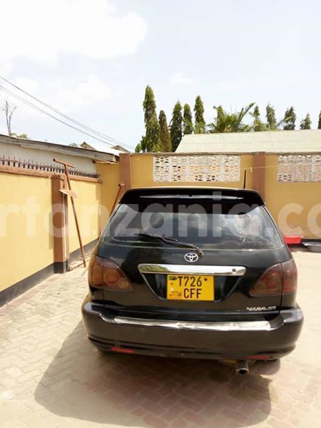 Big with watermark 45709275 160386441585368 5200658031938895872 n