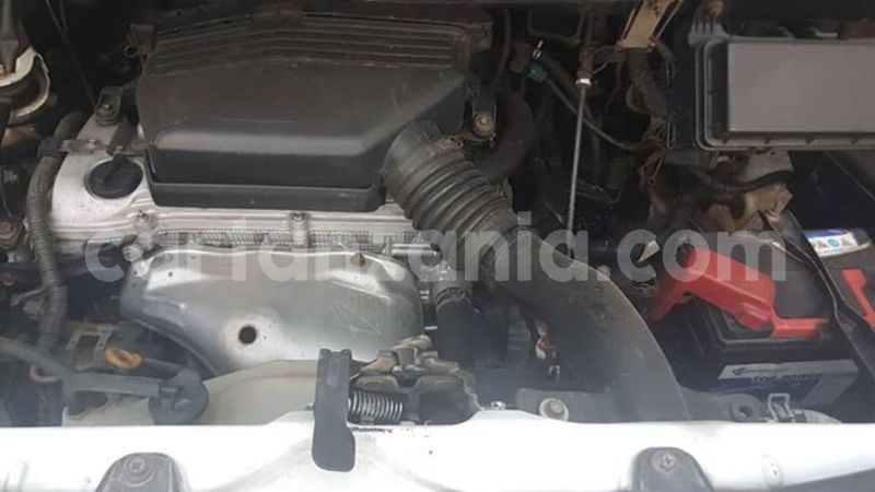 Big with watermark 45715571 160009048289774 3001506678987292672 n