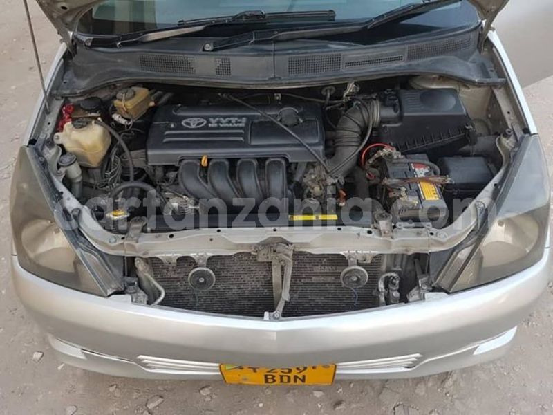 Big with watermark 46240053 1145430788948265 6129560446182621184 n