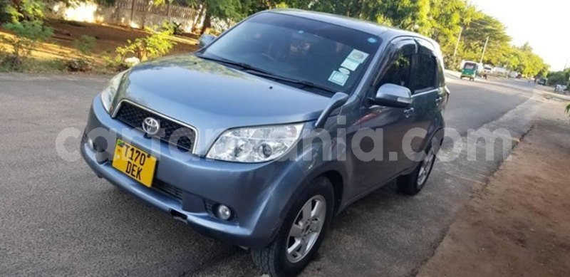 Big with watermark 45856135 1144220099069334 5144367030916349952 o