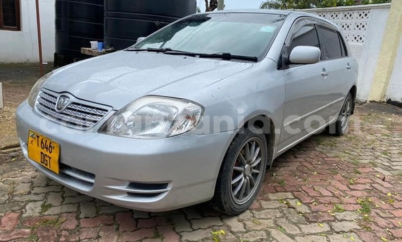 Buy Used Toyota Allex Silver Car in Dar es Salaam in Dar es Salaam Buy Used Toyota Allex Silver Car in Dar es Salaam in Dar es Salaam