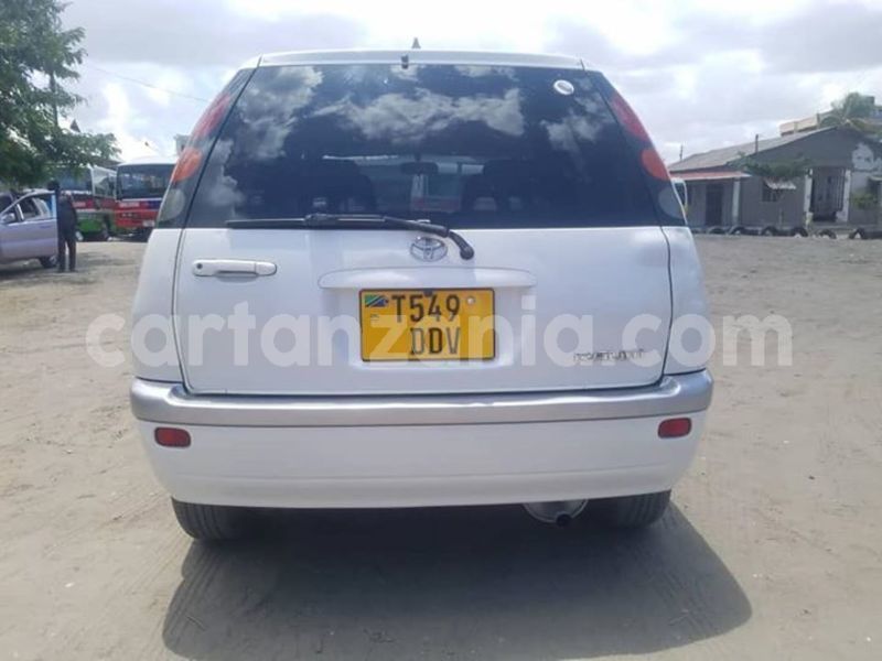 Big with watermark 45960152 1143666989124645 4707456333064962048 n