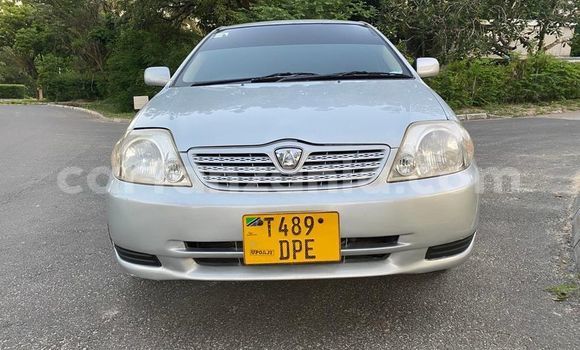 Buy Used Toyota Allex Silver Car in Dar es Salaam in Dar es Salaam Buy Used Toyota Allex Silver Car in Dar es Salaam in Dar es Salaam