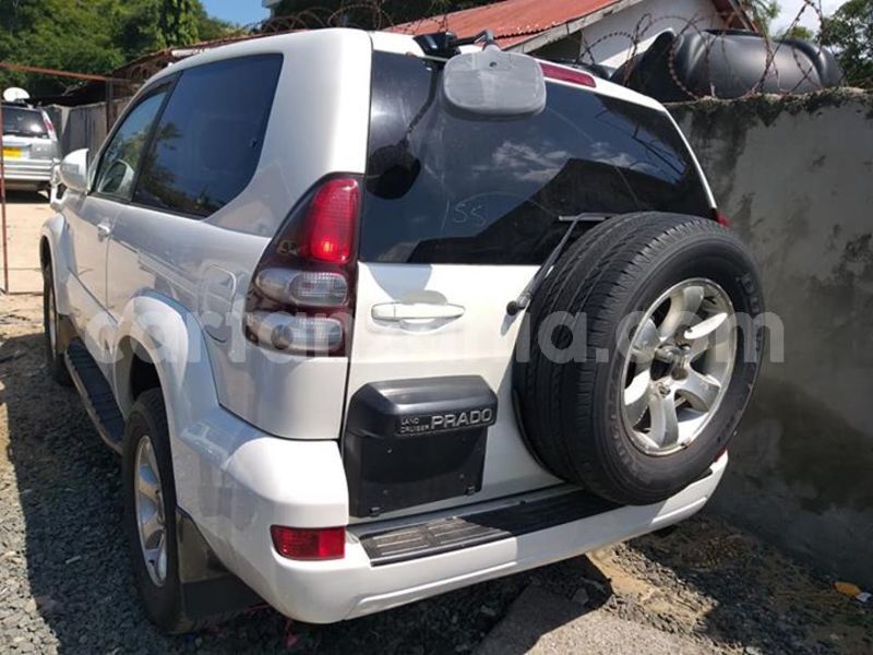 Big with watermark 46232967 347865112442340 2649104011055071232 n