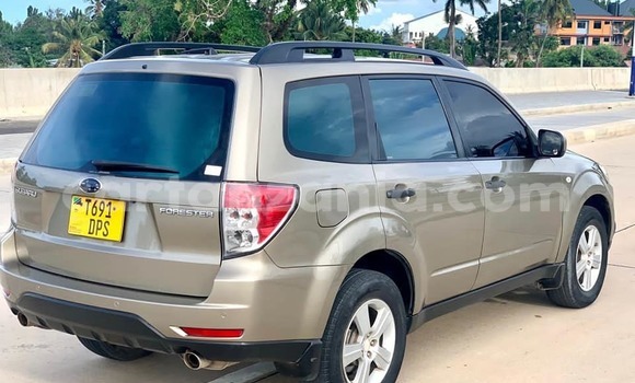 Buy Used Subaru Forester Brown Car in Dar es Salaam in Dar es Salaam