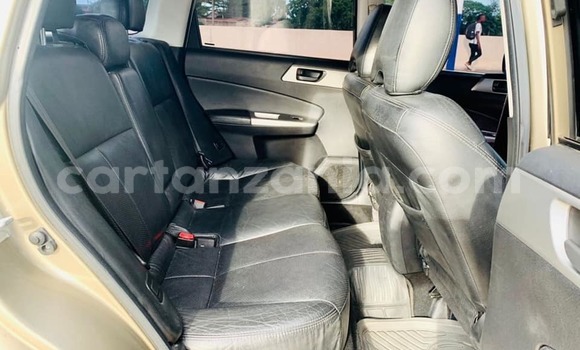 Buy Used Subaru Forester Brown Car in Dar es Salaam in Dar es Salaam Buy Used Subaru Forester Brown Car in Dar es Salaam in Dar es Salaam