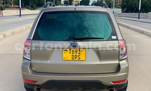 Buy Used Subaru Forester Brown Car in Dar es Salaam in Dar es Salaam Buy Used Subaru Forester Brown Car in Dar es Salaam in Dar es Salaam