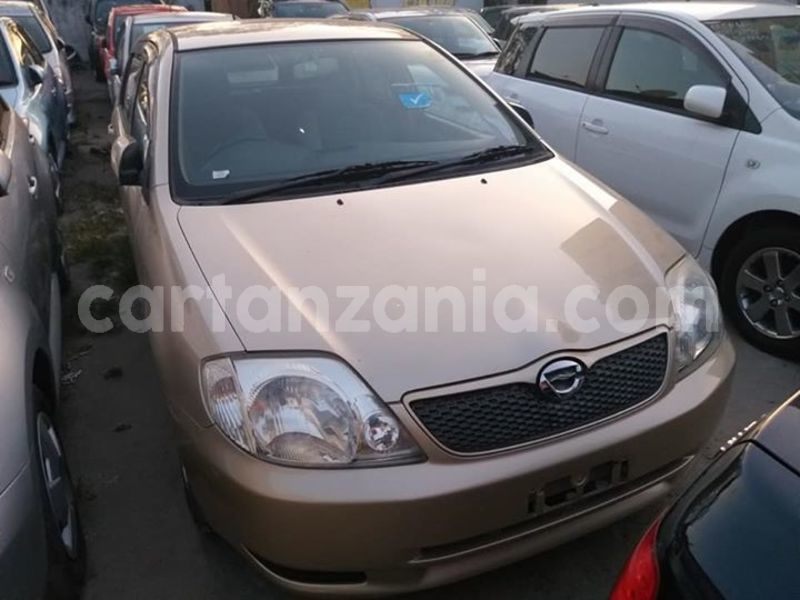 Big with watermark 46125885 347673709128147 6735244594054692864 n