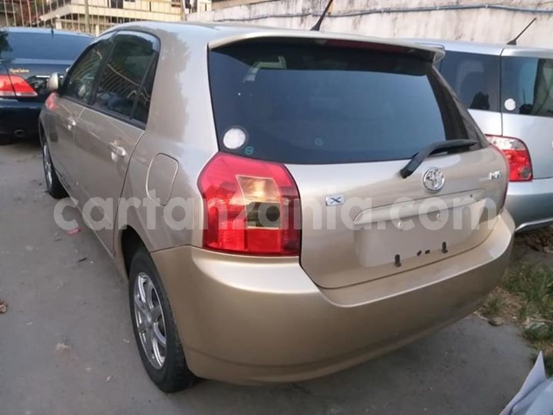 Big with watermark 46221273 347673785794806 8016962040335695872 n