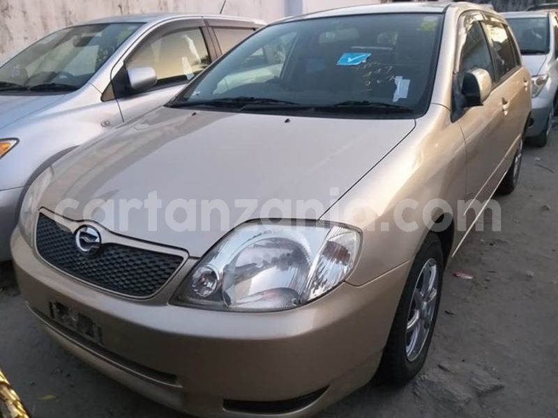 Big with watermark 46157164 347673752461476 8160407080369389568 n