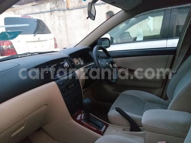 Big with watermark 46134366 347673725794812 7596493976236982272 n