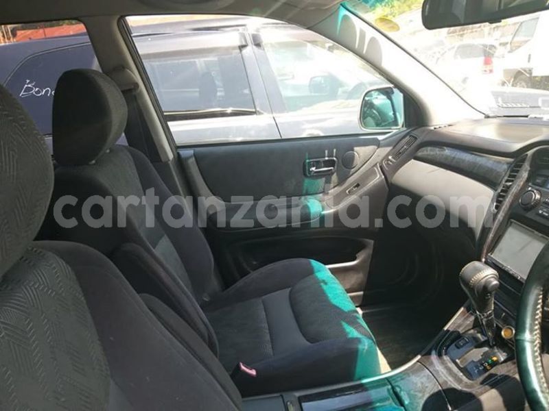 Big with watermark 46140772 347644222464429 8807425568296402944 n