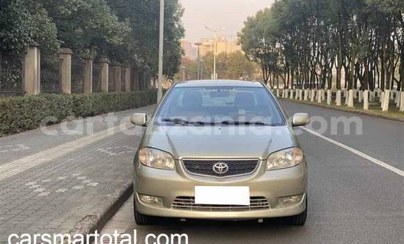 Buy Used Toyota Vios Silver Car in Arusha in Arusha