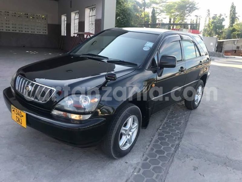 Big with watermark 44560304 1953911744667177 4132230212060446720 n