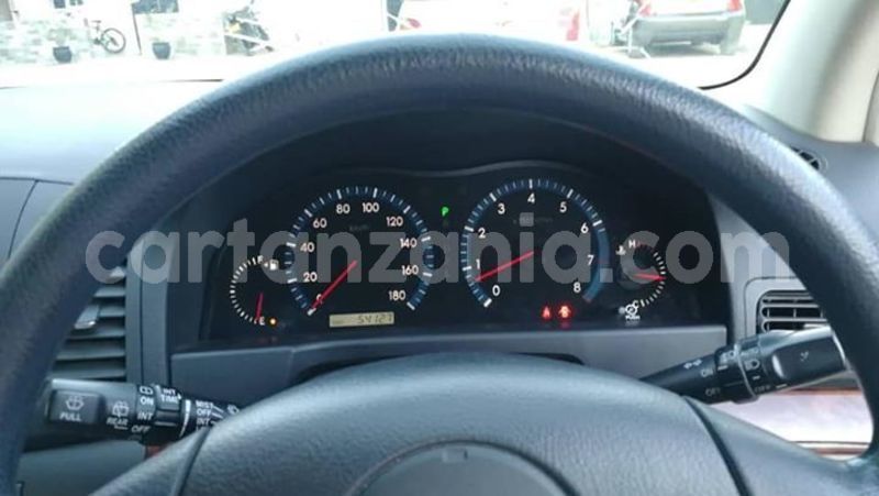Big with watermark 46106652 556659914747936 1239249153255538688 n