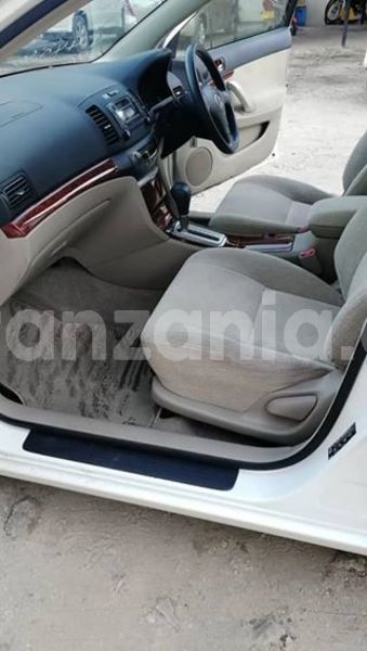 Big with watermark 46233647 556659834747944 8777009090942468096 n