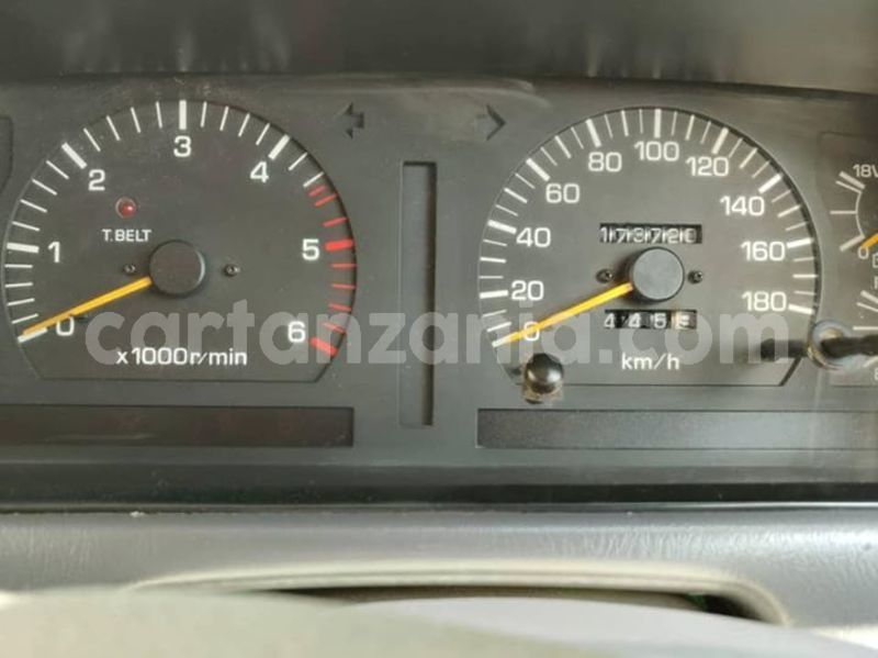 Big with watermark 46238284 556550964758831 2164531781947097088 n