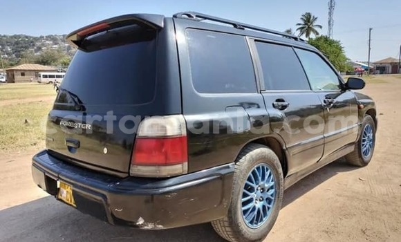 Buy Used Subaru Forester Black Car in Mwanga in Kilimanjaro Buy Used Subaru Forester Black Car in Mwanga in Kilimanjaro