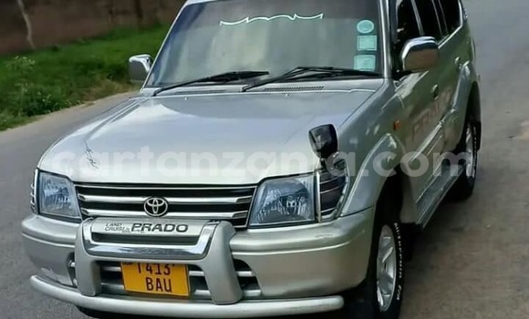 Buy Used Toyota Land Cruiser Prado Silver Car in Mwanga in Kilimanjaro
