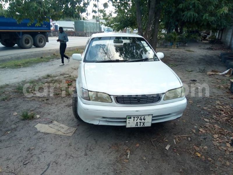 Big with watermark 46459405 2201532253430609 1998952116852359168 n