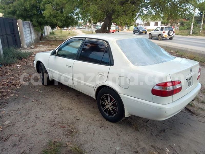 Big with watermark 46473867 2201532353430599 1125372806981222400 n