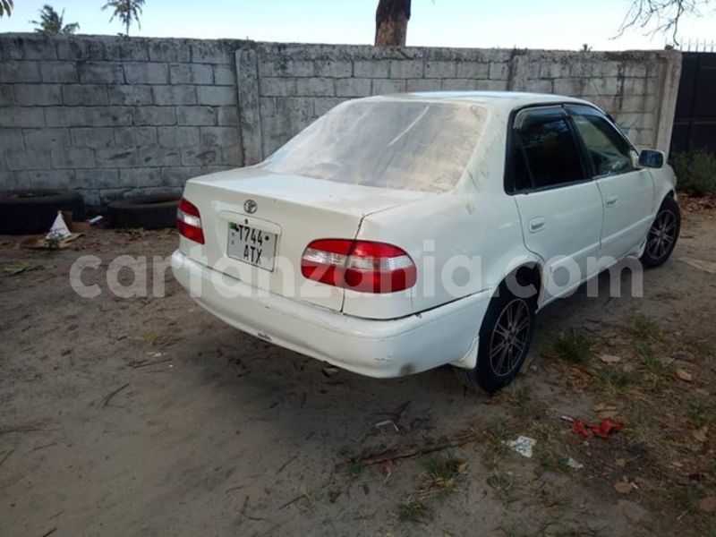 Big with watermark 46438377 2201532336763934 5016957715138740224 n