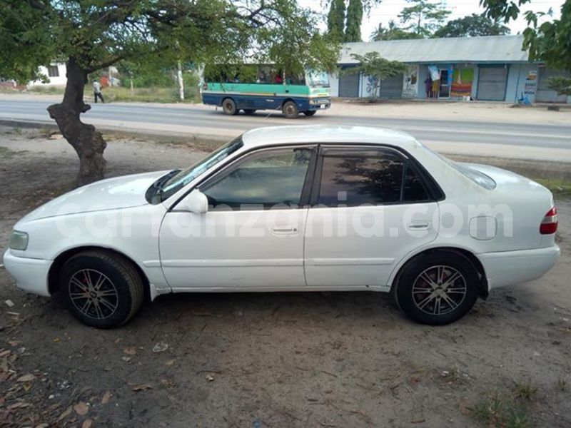 Big with watermark 46458046 2201532323430602 8925011009672839168 n