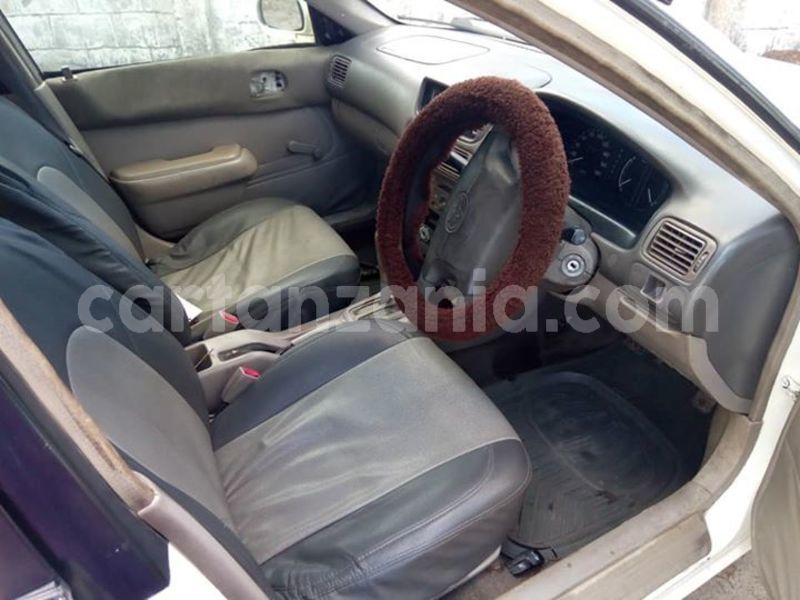 Big with watermark 46519565 2201532270097274 6666475179733942272 n