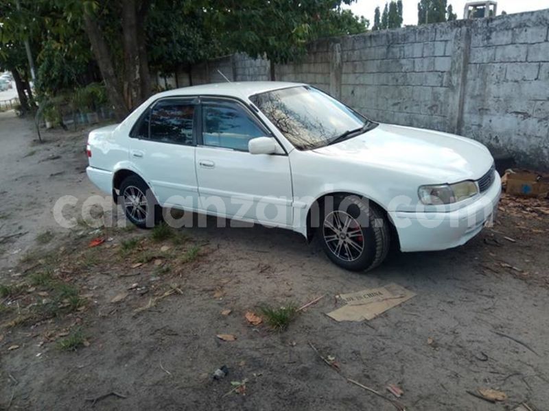 Big with watermark 46512367 2201532226763945 8039112208883384320 n