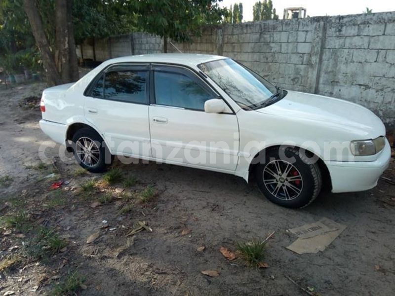 Big with watermark 46651868 2201532170097284 8841204197589254144 n