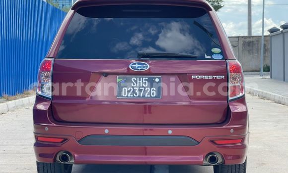 Buy Import Subaru Forester Red Car in Dar es Salaam in Dar es Salaam Buy Import Subaru Forester Red Car in Dar es Salaam in Dar es Salaam