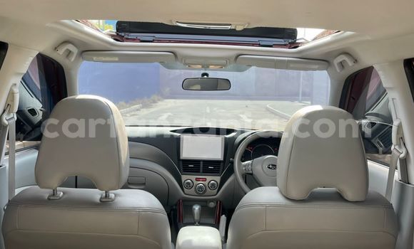 Buy Import Subaru Forester Red Car in Dar es Salaam in Dar es Salaam Buy Import Subaru Forester Red Car in Dar es Salaam in Dar es Salaam