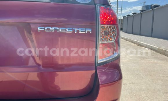 Buy Import Subaru Forester Red Car in Dar es Salaam in Dar es Salaam Buy Import Subaru Forester Red Car in Dar es Salaam in Dar es Salaam