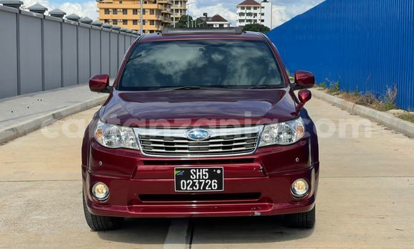 Buy Import Subaru Forester Red Car in Dar es Salaam in Dar es Salaam Buy Import Subaru Forester Red Car in Dar es Salaam in Dar es Salaam