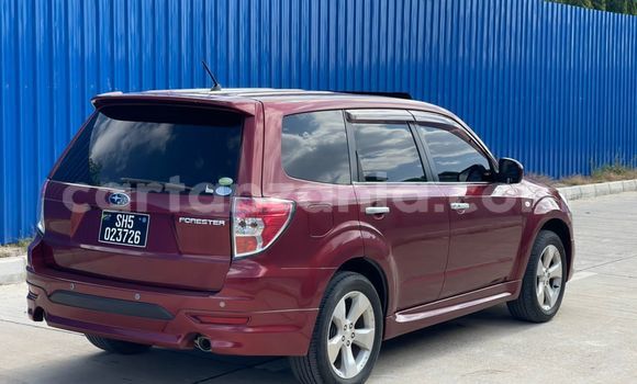 Buy Import Subaru Forester Red Car in Dar es Salaam in Dar es Salaam Buy Import Subaru Forester Red Car in Dar es Salaam in Dar es Salaam