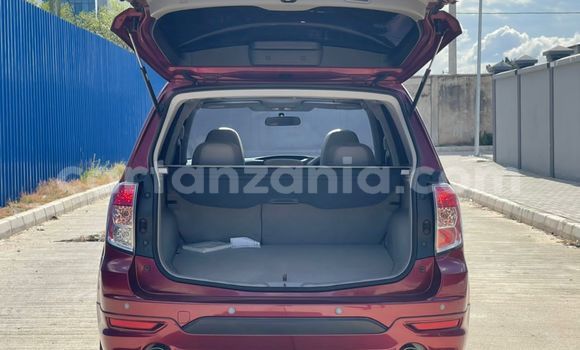 Buy Import Subaru Forester Red Car in Dar es Salaam in Dar es Salaam Buy Import Subaru Forester Red Car in Dar es Salaam in Dar es Salaam