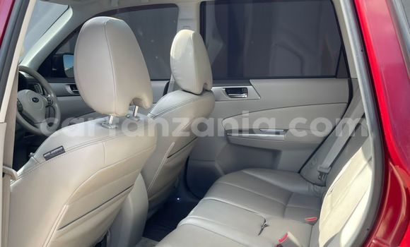 Buy Import Subaru Forester Red Car in Dar es Salaam in Dar es Salaam Buy Import Subaru Forester Red Car in Dar es Salaam in Dar es Salaam