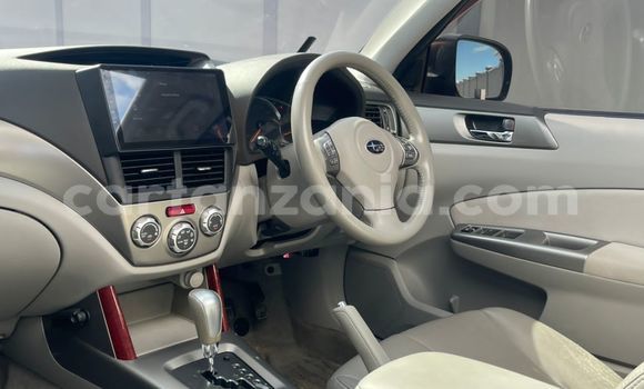 Buy Import Subaru Forester Red Car in Dar es Salaam in Dar es Salaam Buy Import Subaru Forester Red Car in Dar es Salaam in Dar es Salaam