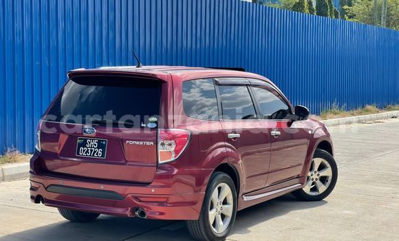 Buy Import Subaru Forester Red Car in Dar es Salaam in Dar es Salaam Buy Import Subaru Forester Red Car in Dar es Salaam in Dar es Salaam