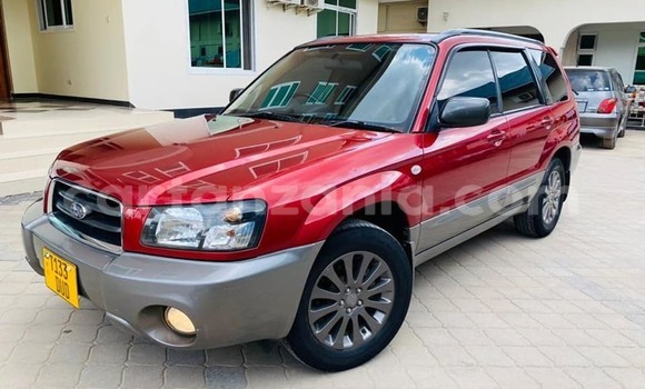 Buy Used Subaru Forester Red Car in Dar es Salaam in Dar es Salaam
