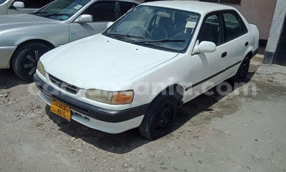 Nunua Ilio tumika Toyota Corolla Nyeupe Gari ndani ya Dar es Salaam nchini Dar es Salaam Nunua Ilio tumika Toyota Corolla Nyeupe Gari ndani ya Dar es Salaam nchini Dar es Salaam