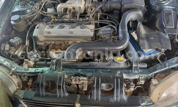 Buy Used Toyota Starlet Green Car in Dar es Salaam in Dar es Salaam Buy Used Toyota Starlet Green Car in Dar es Salaam in Dar es Salaam