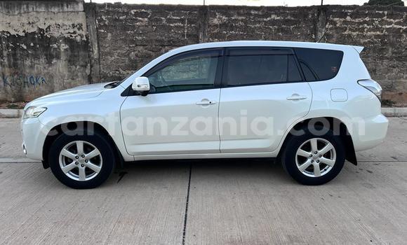 Buy Import Toyota Vanguard White Car in Dar es Salaam in Dar es Salaam Buy Import Toyota Vanguard White Car in Dar es Salaam in Dar es Salaam