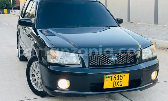 Buy Used Subaru Forester Black Car in Dar es Salaam in Dar es Salaam Buy Used Subaru Forester Black Car in Dar es Salaam in Dar es Salaam