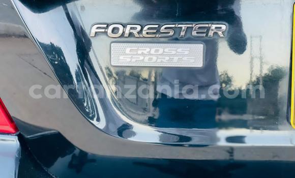Buy Used Subaru Forester Black Car in Dar es Salaam in Dar es Salaam Buy Used Subaru Forester Black Car in Dar es Salaam in Dar es Salaam