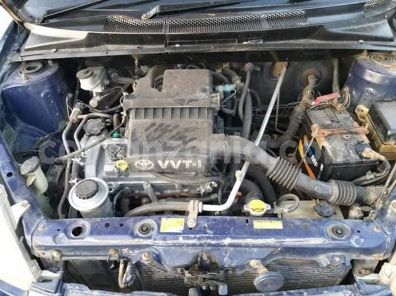 Big with watermark 47200282 289080135285143 1481643939072049152 n