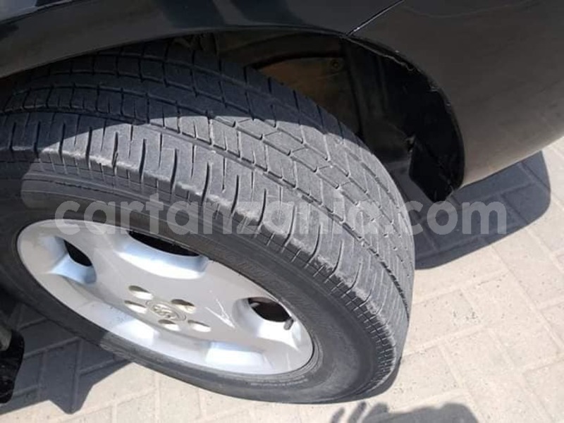 Big with watermark 46837535 285452855647871 4599847744234848256 n