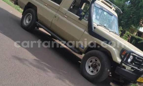 Buy Used Toyota Land Cruiser Brown Car in Dar es Salaam in Dar es Salaam Buy Used Toyota Land Cruiser Brown Car in Dar es Salaam in Dar es Salaam
